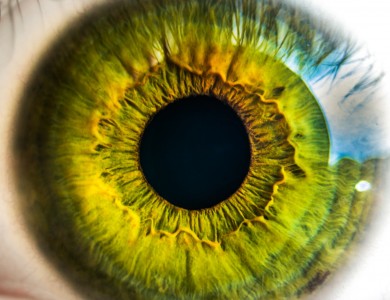 Green Iris Eye photo